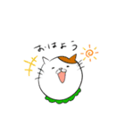 ウチのねこ。。（個別スタンプ：1）