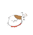 ウチのねこ。。（個別スタンプ：10）