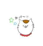 ウチのねこ。。（個別スタンプ：21）