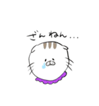 ウチのねこ。。（個別スタンプ：24）