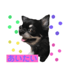 黒蜜（個別スタンプ：4）