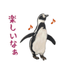 ほほえみフレンズ！ペンギンのぺったんこ（個別スタンプ：16）