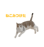 にゃいもいとおともだち2（個別スタンプ：12）