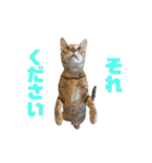 にゃいもいとおともだち2（個別スタンプ：14）