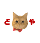 にゃいもいとおともだち2（個別スタンプ：16）