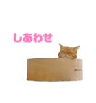 にゃいもいとおともだち2（個別スタンプ：32）
