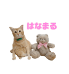 にゃいもいとおともだち2（個別スタンプ：38）