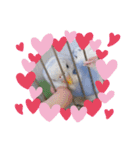 せきせいいんこのぷーちゃん4（個別スタンプ：1）