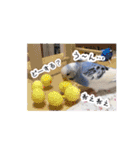 せきせいいんこのぷーちゃん4（個別スタンプ：10）