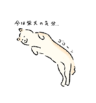 シンプルな柴犬たち（白）（個別スタンプ：9）