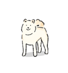 シンプルな柴犬たち（白）（個別スタンプ：24）