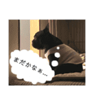 フレブル 大吉くんスタンプ（個別スタンプ：3）