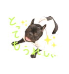 フレブル 大吉くんスタンプ（個別スタンプ：5）