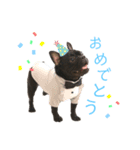 フレブル 大吉くんスタンプ（個別スタンプ：15）