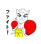 格闘技 猫ファイターα「俺流」（個別スタンプ：14）