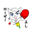 格闘技 猫ファイターα「俺流」（個別スタンプ：19）