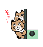 ふたごねこサトイモーズ（個別スタンプ：1）