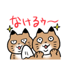 ふたごねこサトイモーズ（個別スタンプ：14）