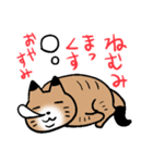 ふたごねこサトイモーズ（個別スタンプ：25）