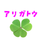 クローバー と 手書き風文字（個別スタンプ：5）