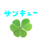 クローバー と 手書き風文字（個別スタンプ：7）