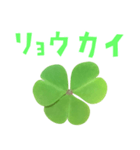 クローバー と 手書き風文字（個別スタンプ：12）