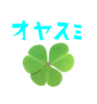 クローバー と 手書き風文字（個別スタンプ：13）