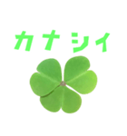 クローバー と 手書き風文字（個別スタンプ：21）