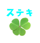 クローバー と 手書き風文字（個別スタンプ：22）