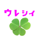 クローバー と 手書き風文字（個別スタンプ：23）