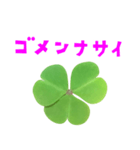 クローバー と 手書き風文字（個別スタンプ：26）