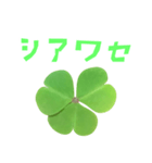 クローバー と 手書き風文字（個別スタンプ：27）