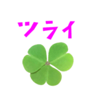 クローバー と 手書き風文字（個別スタンプ：29）