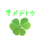 クローバー と 手書き風文字（個別スタンプ：30）