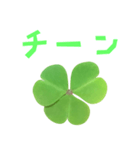 クローバー と 手書き風文字（個別スタンプ：33）