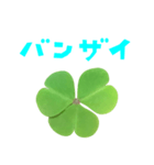 クローバー と 手書き風文字（個別スタンプ：34）