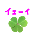 クローバー と 手書き風文字（個別スタンプ：35）