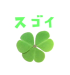 クローバー と 手書き風文字（個別スタンプ：39）