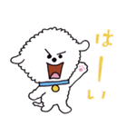 お茶目なビションフリーゼ（個別スタンプ：2）