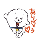 お茶目なビションフリーゼ（個別スタンプ：3）