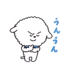お茶目なビションフリーゼ（個別スタンプ：6）