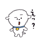お茶目なビションフリーゼ（個別スタンプ：17）