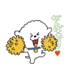 お茶目なビションフリーゼ（個別スタンプ：20）