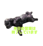 ゴエモンの日常（個別スタンプ：16）