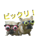 フレブルコウちゃんと 仲間たち（個別スタンプ：19）