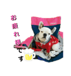 フレブルコウちゃんと 仲間たち（個別スタンプ：22）