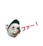 フレブルコウちゃんと 仲間たち（個別スタンプ：25）
