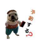 フレブルコウちゃんと 仲間たち（個別スタンプ：36）
