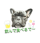 フレブルコウちゃんと 仲間たち（個別スタンプ：38）