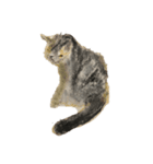 cats in crayon4（個別スタンプ：1）